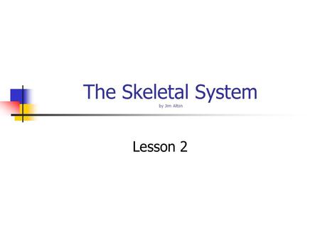The Skeletal System by Jim Alton