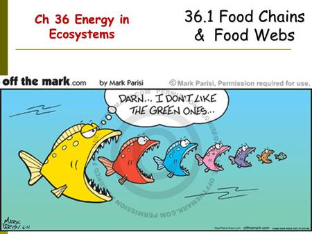 Ch 36 Energy in Ecosystems
