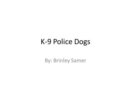 K-9 Police Dogs By: Brinley Samer. K-9 Police Dogs Abilities They are taught lessons in agility, search, attack and climb, and obedience. They ladders.