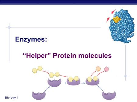 Biology I Enzymes: “Helper” Protein molecules Biology I Flow of energy through life  Life is built on chemical reactions.