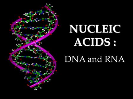 NUCLEIC ACIDS : DNA and RNA Nucleic Acids Very Large, Complex, DNA & RNA Store Important Info in the Cell. (Genetic Information) ATP is an energy carrier.