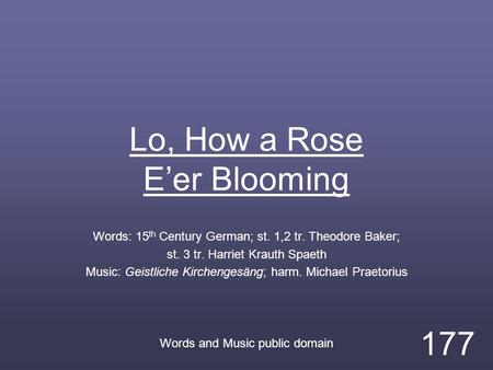 Lo, How a Rose E’er Blooming Words: 15 th Century German; st. 1,2 tr. Theodore Baker; st. 3 tr. Harriet Krauth Spaeth Music: Geistliche Kirchengesäng;