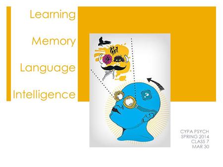 Learning Memory Language Intelligence CYPA PSYCH SPRING 2014 CLASS 7 MAR 30.