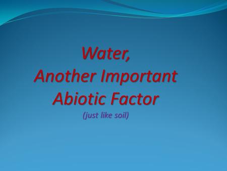 Another Important Abiotic Factor