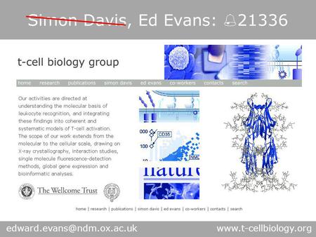 Simon Davis, Ed Evans:  21336