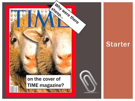 Starter Why were there sheep… on the cover of TIME magazine?