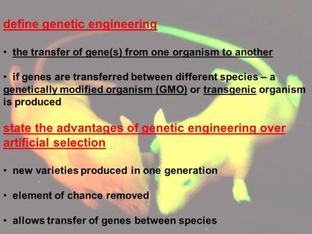 presentation on genetic engineering