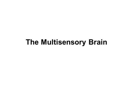 The Multisensory Brain