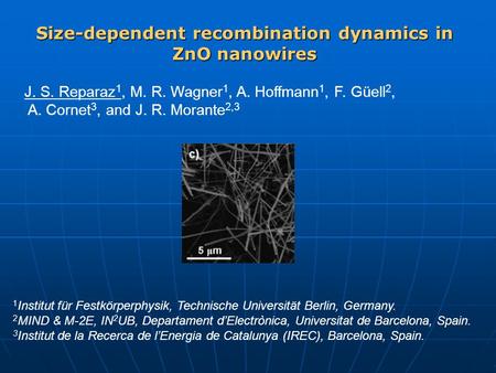 Size-dependent recombination dynamics in ZnO nanowires