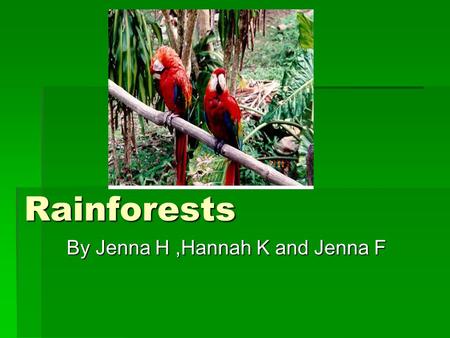 Rainforests By Jenna H,Hannah K and Jenna F. Contents  Where are the rainforests?……….Page 1  Animals in the rainforest…………Page 2  Trees in the rainforest…………..Page.