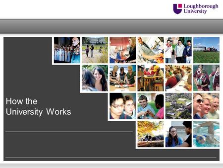 How the University Works. Building Excellence Strategy – Our Values  Respect each other and celebrate our diversity  Recognise and reward excellence.