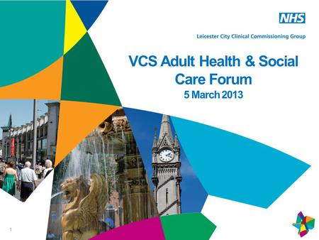 1 VCS Adult Health & Social Care Forum 5 March 2013.