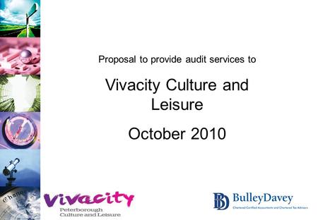 Proposal to provide audit services to Vivacity Culture and Leisure October 2010.