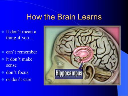 What Can Learning About Memory Teach Us About How We Learn How Can We Connect Our Learning About Memory To Our Experiences To Gain A Better Understanding Ppt Download What Can Learning About Memory Teach Us About How We Learn How Can We Connect Our Learning About Memory To Our Experiences To Gain A Better Understanding Ppt Download