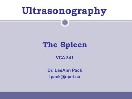 Ultrasonography The Spleen VCA 341 Dr. LeeAnn Pack lpack@upei.ca.