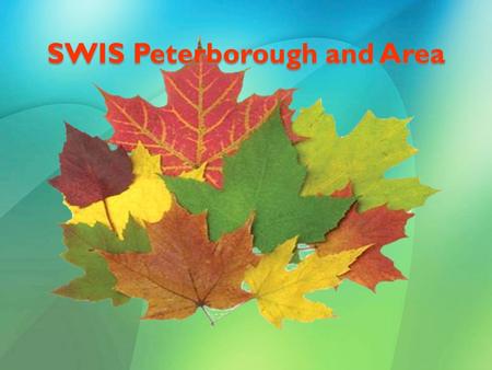 SWIS Peterborough and Area. SWIS: A Partnership New Canadians Centre Non-profit agency that supports newcomers to adapt to life in Canada Funded by Citizenship.