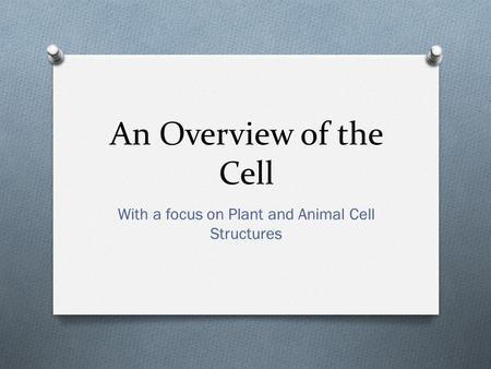 With a focus on Plant and Animal Cell Structures
