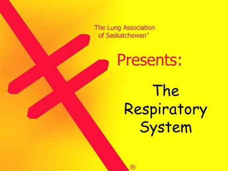 The Respiratory System (5)