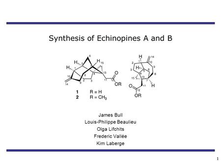 11 Synthesis of Echinopines A and B James Bull Louis-Philippe Beaulieu Olga Lifchits Frederic Vallée Kim Laberge.