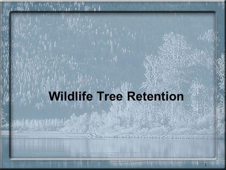 1 Wildlife Tree Retention. 2 Wildlife tree retention One of most valuable components of stand-level biodiversity Over 80 species of wildlife are critically.