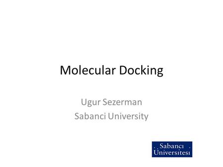 Ugur Sezerman Sabanci University