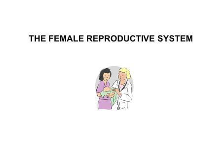THE FEMALE REPRODUCTIVE SYSTEM