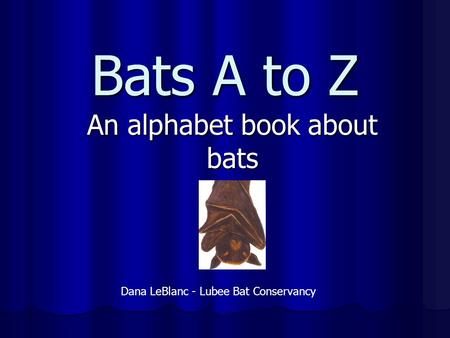 An alphabet book about bats