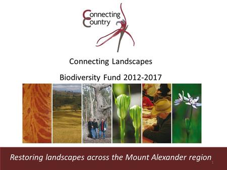 Restoring landscapes across the Mount Alexander region Connecting Landscapes Biodiversity Fund 2012-2017 1.