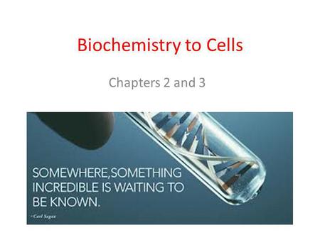 Biochemistry to Cells Chapters 2 and 3.