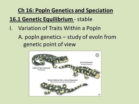 Ch 16: Popln Genetics and Speciation