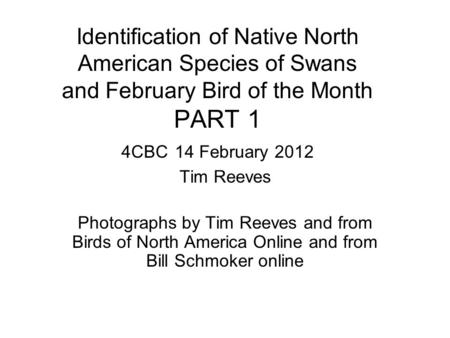 Identification of Native North American Species of Swans and February Bird of the Month PART 1 4CBC 14 February 2012 Tim Reeves Photographs by Tim Reeves.