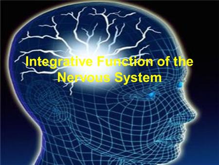 Integrative Function of the Nervous System