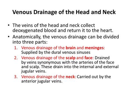 Venous Drainage of the Head and Neck