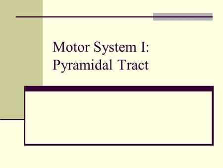 Motor System I: Pyramidal Tract