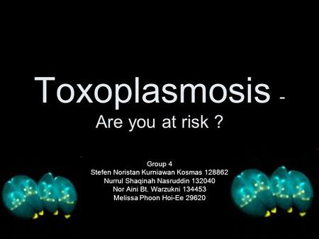 Toxoplasmosis - Are you at risk ? Group 4 Stefen Noristan Kurniawan Kosmas 128862 Nurrul Shaqinah Nasruddin 132040 Nor Aini Bt. Warzukni 134453 Melissa.