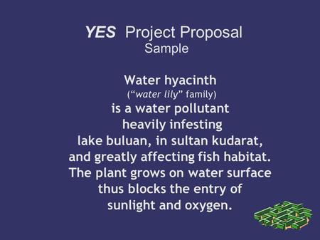 YES Project Proposal Sample