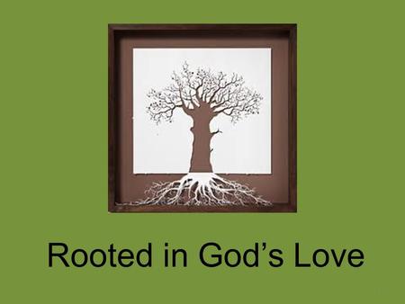 Rooted in God’s Love 1. God’s Love: The Root of it All What kind of a love is it? The Psalmists tell us – It is UNFAILING (16 psalms) Constant, unflagging.