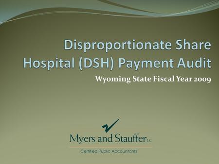 Disproportionate Share Hospital (DSH) Payment Audit