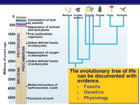 The evolutionary tree of life can be documented with evidence.