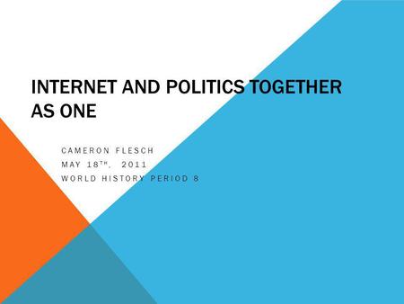 INTERNET AND POLITICS TOGETHER AS ONE CAMERON FLESCH MAY 18 TH, 2011 WORLD HISTORY PERIOD 8.