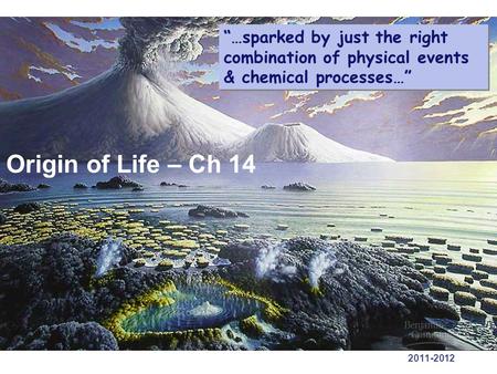 “…sparked by just the right combination of physical events & chemical processes…” Origin of Life – Ch 14 2011-2012.