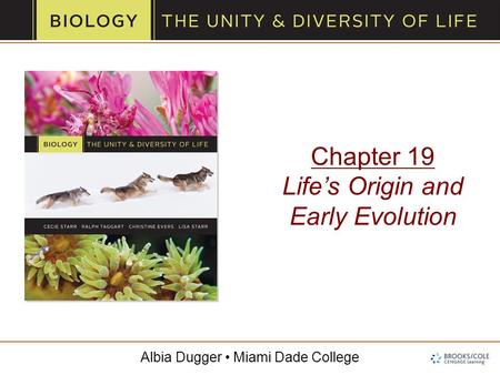 Chapter 19 Life’s Origin and Early Evolution