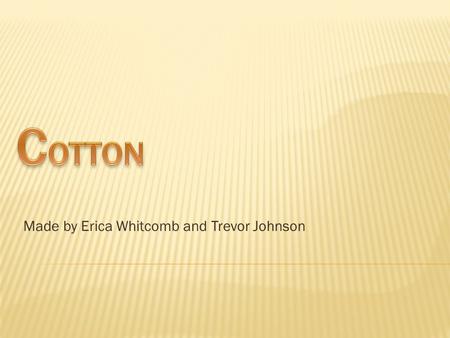 Made by Erica Whitcomb and Trevor Johnson.  Leaders in cotton growing it China, India and the United States.  The United States is ideal for cotton.