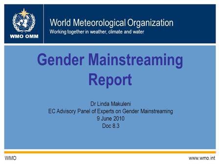 Gender Mainstreaming Report
