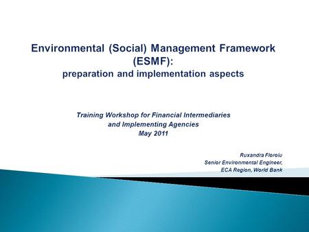 Training Workshop for Financial Intermediaries and Implementing Agencies May 2011 Ruxandra Floroiu Senior Environmental Engineer, ECA Region, World Bank.