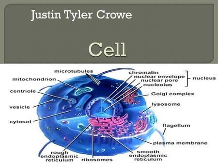Justin Tyler Crowe Cell.