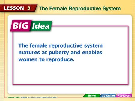 Eggs ovaries uterus ovulation fallopian tubes vagina menstruation cervix.
