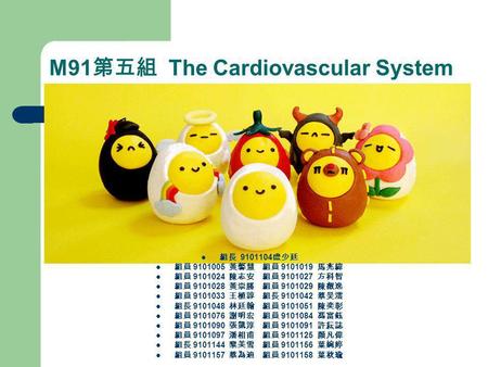 M91第五組 The Cardiovascular System