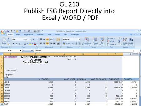 GL 210 Publish FSG Report Directly into Excel / WORD / PDF.