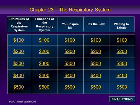 Chapter 23 – The Respiratory System